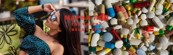 ПСИЛОЦИБИНОВЫЕ ГРИБЫ Белокуриха