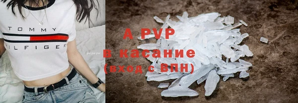 ПСИЛОЦИБИНОВЫЕ ГРИБЫ Белокуриха